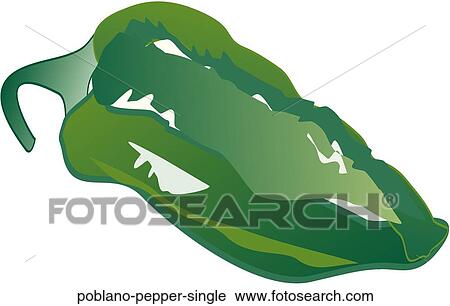 Poblano Pepper Single View Large Illustration Clip Art - Poblano Pepper Single . Fotosearch