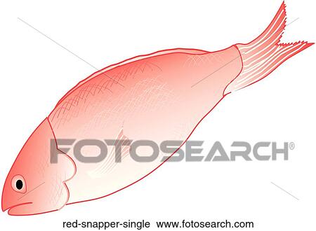 Clip Art - Red Snapper Single . Fotosearch