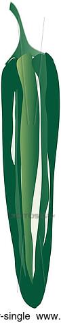 Serrano Pepper Single View Large Illustration Clip Art - Serrano Pepper Single. Fotosearch