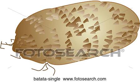 Clip Art - Taro. Fotosearch