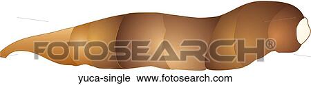 Clip Art - Yuca Single. Fotosearch