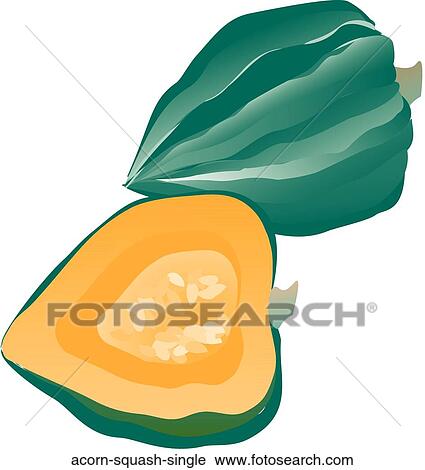 Acorn Squash Single View Large Illustration Clip Art - Acorn Squash Single. Fotosearch