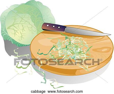 Clip Art - Cabbage. Fotosearch