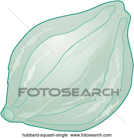 Hubbard Squash Single View Large Illustration Clip Art - Hubbard Squash Single. Fotosearch