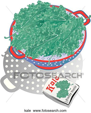 Clip Art - Kale. Fotosearch