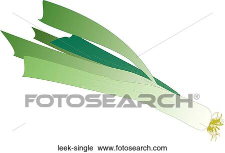 Clip Art - Leek Single. Fotosearch