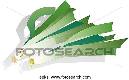 Leeks View Large Illustration Stock Illustration - Leeks. Fotosearch
