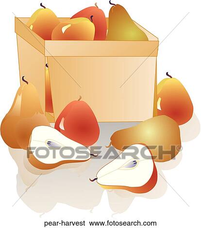 Stock Illustration - Pear Harvest. Fotosearch