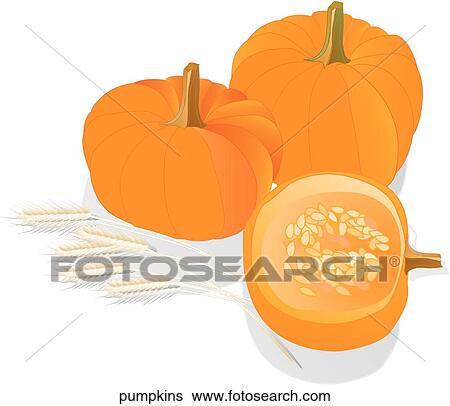 Stock Illustration - Pumpkins. Fotosearch