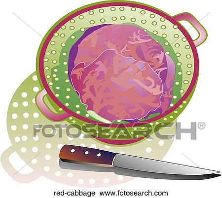 Red Cabbage View Large Illustration Clip Art - Red Cabbage. Fotosearch