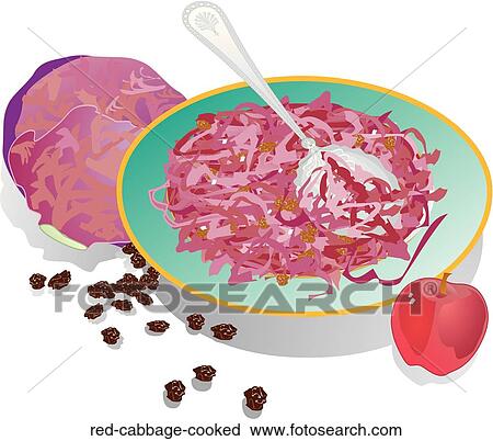 Red Cabbage-Cooked View Large Illustration Clip Art - Red Cabbage-Cooked. Fotosearch