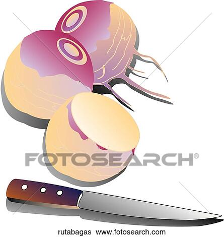 Rutabagas View Large Illustration Stock Illustration - Rutabagas. Fotosearch