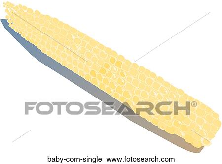 Baby Corn Single View Large Illustration Clip Art - Baby Corn Single. Fotosearch
