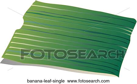 Banana Leaf Single View Large Illustration Clip Art - Banana Leaf Single. Fotosearch