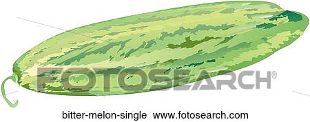 Clip Art - Bitter Melon Single. Fotosearch
