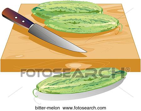 Stock Illustration - Bitter Melon. Fotosearch