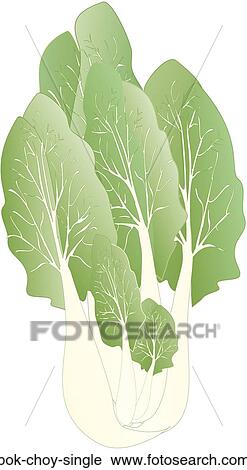 Clip Art - Bok Choy Single. Fotosearch