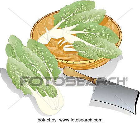 Bok Choy View Large Illustration Stock Illustration - Bok Choy. Fotosearch
