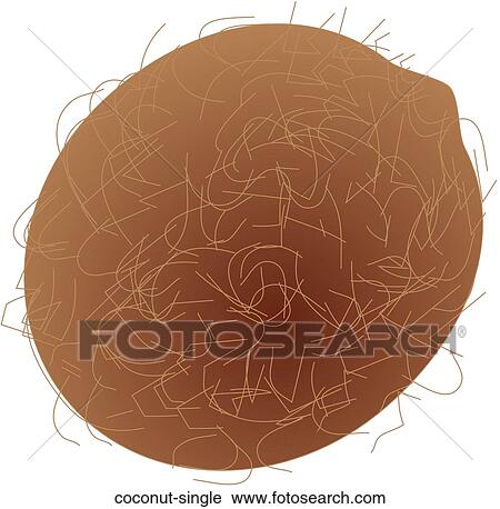 Clip Art - Coconut Single. Fotosearch