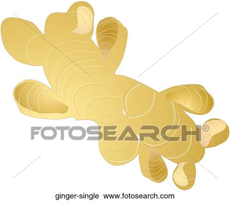 Clip Art - Ginger Single. Fotosearch