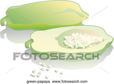 Green Papaya View Large Illustration Clipart - Green Papaya. Fotosearch