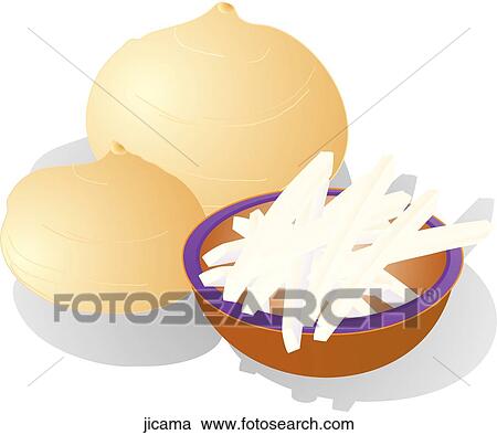 Jicama View Large Illustration Clipart - Jicama. Fotosearch