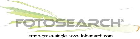 Clip Art - Lemon Grass Single. Fotosearch