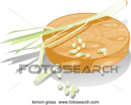 Stock Illustration - Lemon grass. Fotosearch