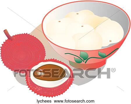 Stock Illustration - Lychees. Fotosearch