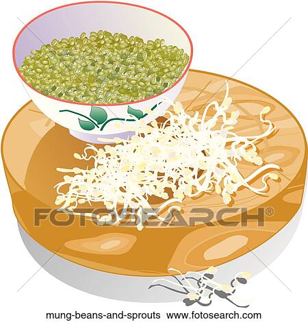 Mung Beans and Sprouts View Large Illustration Stock Illustration - Mung Beans and Sprouts. Fotosearch