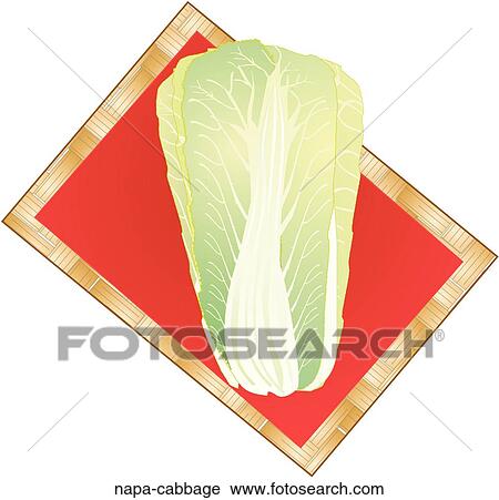 Napa Cabbage View Large Illustration Clip Art - Napa Cabbage. Fotosearch