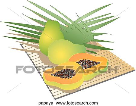 Clipart - Papaya. Fotosearch