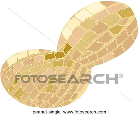 Peanut Single View Large Illustration Clip Art - Peanut Single. Fotosearch