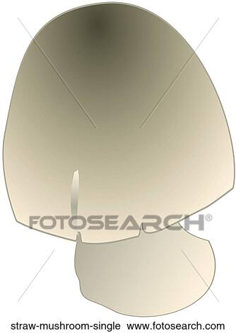 Clip Art - Straw Mushroom Single. Fotosearch