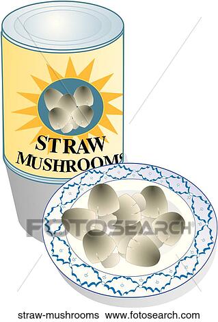 Stock Illustration - Straw Mushrooms. Fotosearch