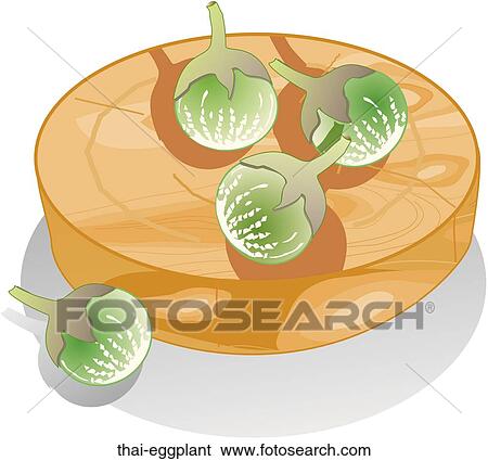 Stock Illustration - Thai Eggplant. Fotosearch