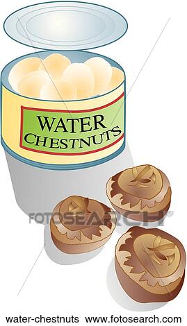 Stock Illustration - Water Chestnuts. Fotosearch