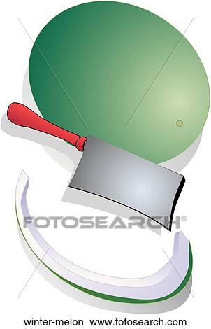 Stock Illustration - Winter Melon. Fotosearch