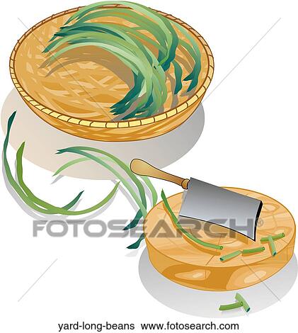 Stock Illustration - Yard Long Beans. Fotosearch