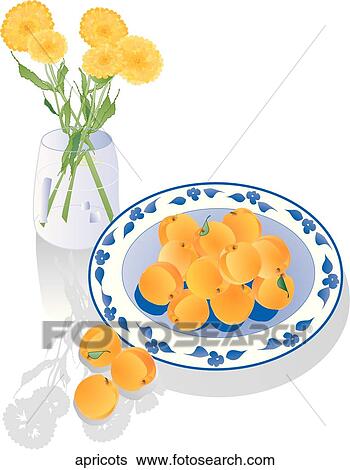Apricots View Large Illustration Stock Illustration - Apricots. Fotosearch