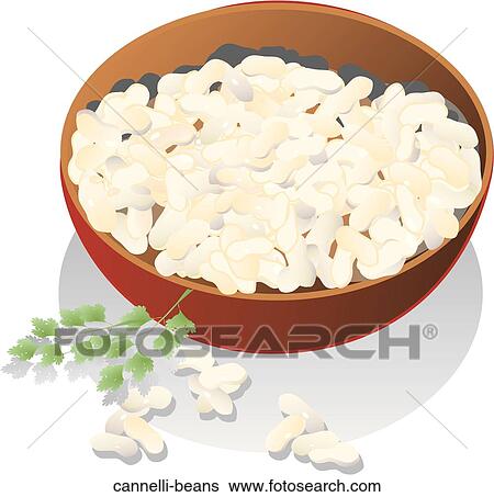 Cannelli Beans View Large Illustration Stock Illustration - Cannelli Beans. Fotosearch