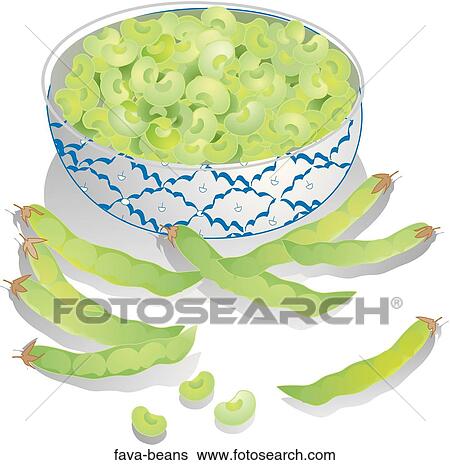 Stock Illustration - Fava Beans. Fotosearch