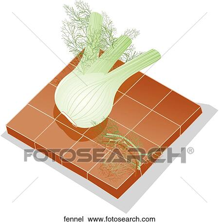 Fennel View Large Illustration Drawing - Fennel. Fotosearch
