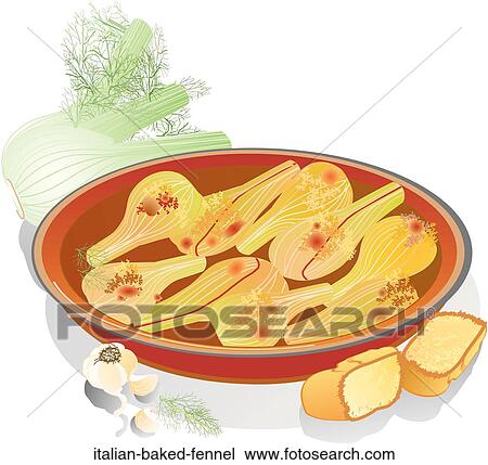 Drawing - Italian Baked Fennel. Fotosearch