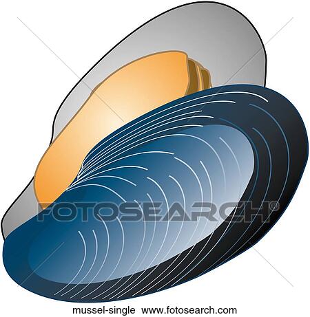 Mussel Single View Large Illustration Clip Art - Mussel Single. Fotosearch