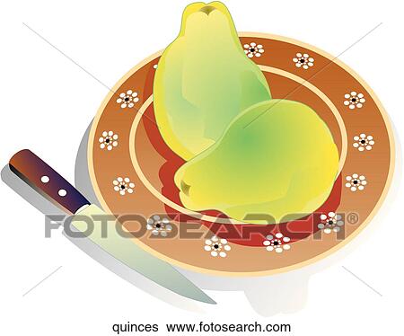 Stock Illustration - Quinces. Fotosearch