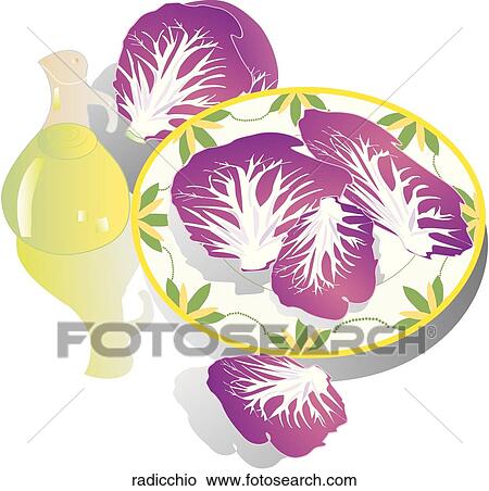 Stock Illustration - Radicchio. Fotosearch