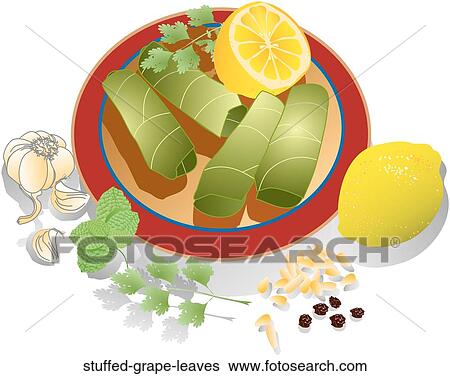 Stock Illustration - Stuffed Grape Leaves. Fotosearch