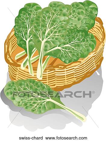 Clip Art - Swiss Chard . Fotosearch