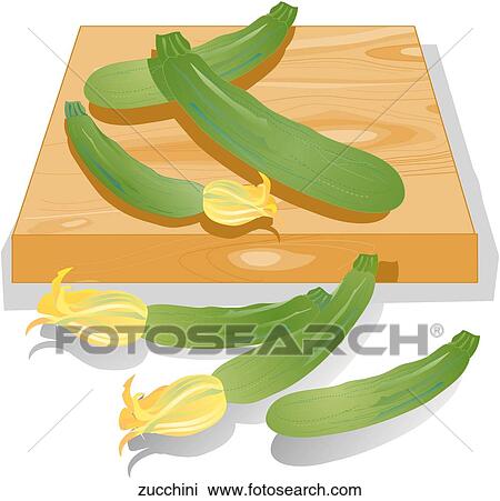 Drawing - Zucchini. Fotosearch
